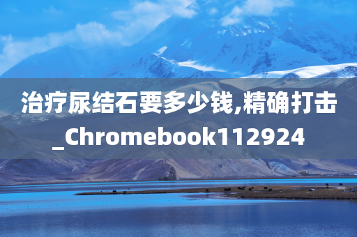 治疗尿结石要多少钱,精确打击_Chromebook112924