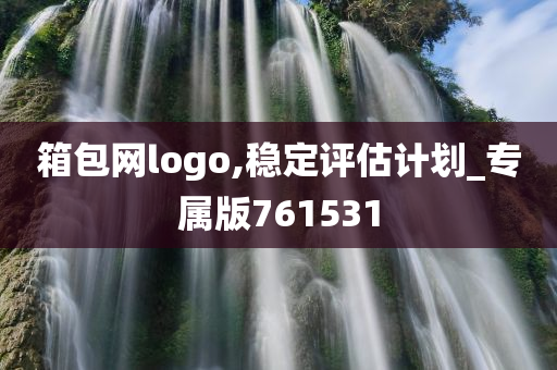 箱包网logo,稳定评估计划_专属版761531