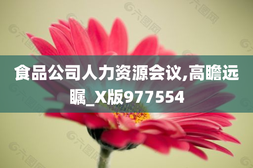 食品公司人力资源会议,高瞻远瞩_X版977554