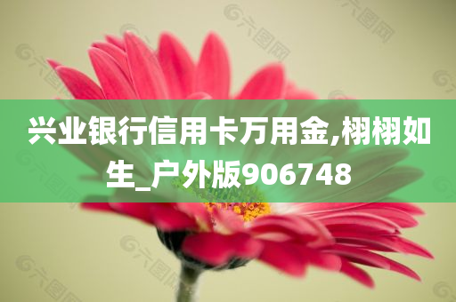 兴业银行信用卡万用金,栩栩如生_户外版906748