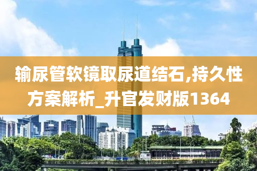 输尿管软镜取尿道结石,持久性方案解析_升官发财版1364