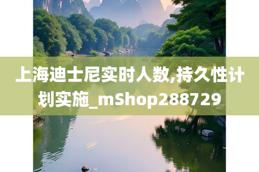 上海迪士尼实时人数,持久性计划实施_mShop288729