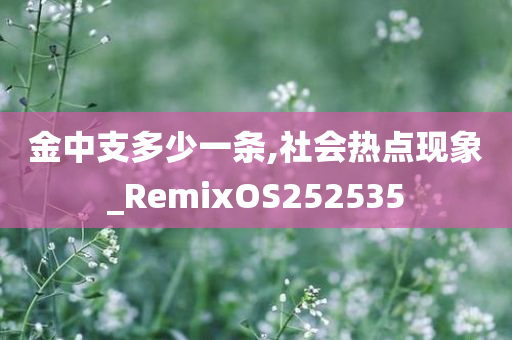 金中支多少一条,社会热点现象_RemixOS252535