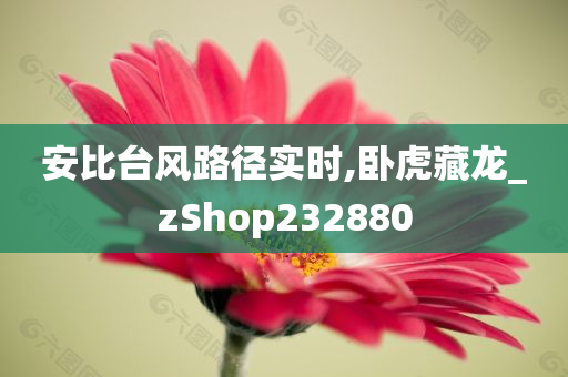 安比台风路径实时,卧虎藏龙_zShop232880