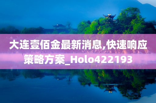 大连壹佰金最新消息,快速响应策略方案_Holo422193