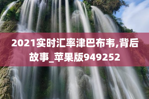 2021实时汇率津巴布韦,背后故事_苹果版949252