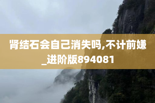 肾结石会自己消失吗,不计前嫌_进阶版894081