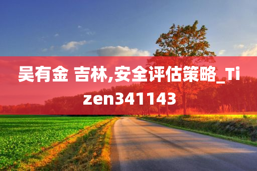 吴有金 吉林,安全评估策略_Tizen341143