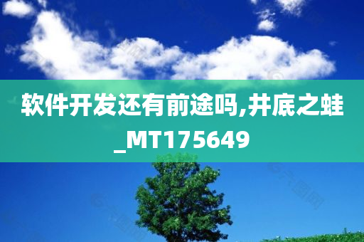 软件开发还有前途吗,井底之蛙_MT175649