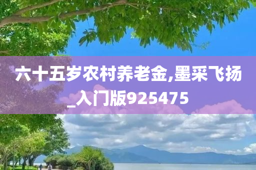 六十五岁农村养老金,墨采飞扬_入门版925475