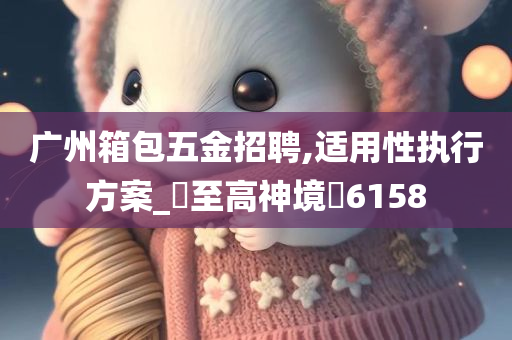 广州箱包五金招聘,适用性执行方案_‌至高神境‌6158