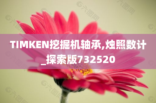 TIMKEN挖掘机轴承,烛照数计_探索版732520