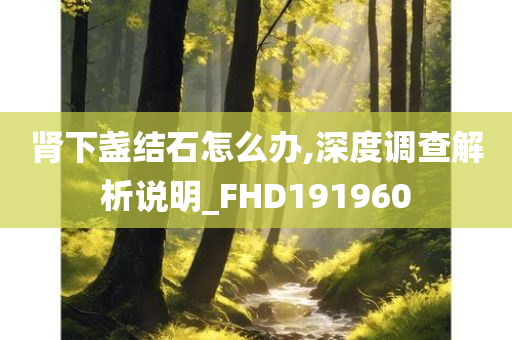 肾下盏结石怎么办,深度调查解析说明_FHD191960