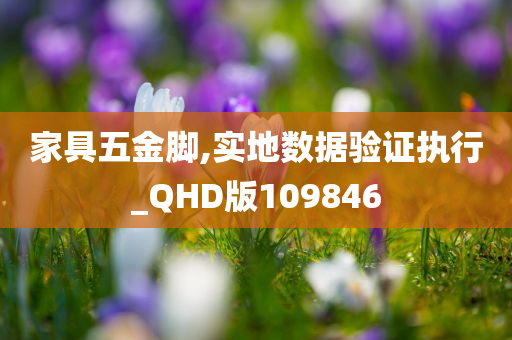 家具五金脚,实地数据验证执行_QHD版109846