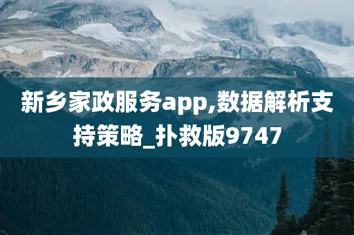 新乡家政服务app,数据解析支持策略_扑救版9747