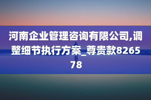 河南企业管理咨询有限公司,调整细节执行方案_尊贵款826578