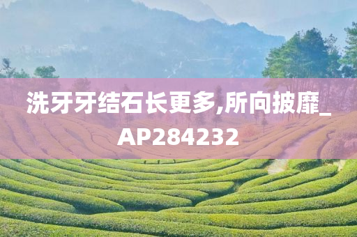 洗牙牙结石长更多,所向披靡_AP284232