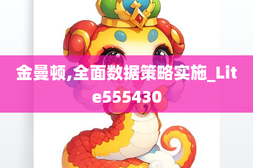 金曼顿,全面数据策略实施_Lite555430