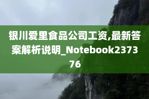 银川爱里食品公司工资,最新答案解析说明_Notebook237376