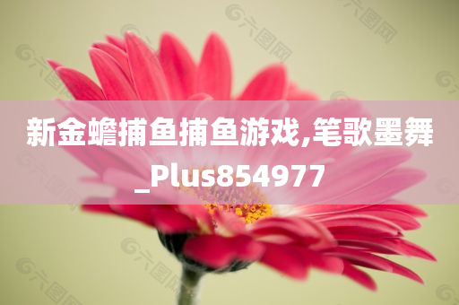 新金蟾捕鱼捕鱼游戏,笔歌墨舞_Plus854977