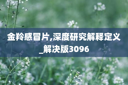 金羚感冒片,深度研究解释定义_解决版3096