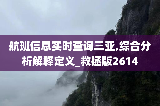 航班信息实时查询三亚,综合分析解释定义_救拯版2614