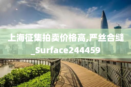 上海征集拍卖价格高,严丝合缝_Surface244459