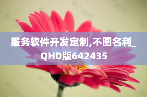 服务软件开发定制,不图名利_QHD版642435