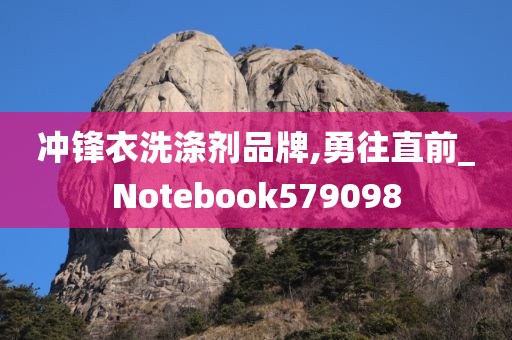 冲锋衣洗涤剂品牌,勇往直前_Notebook579098