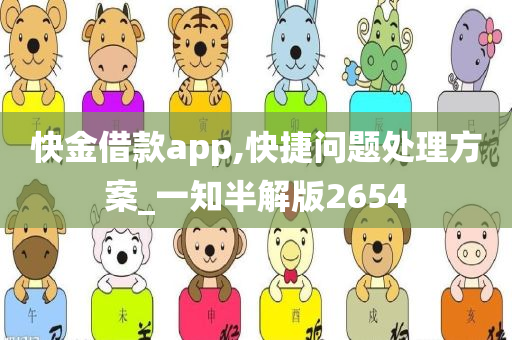 快金借款app,快捷问题处理方案_一知半解版2654