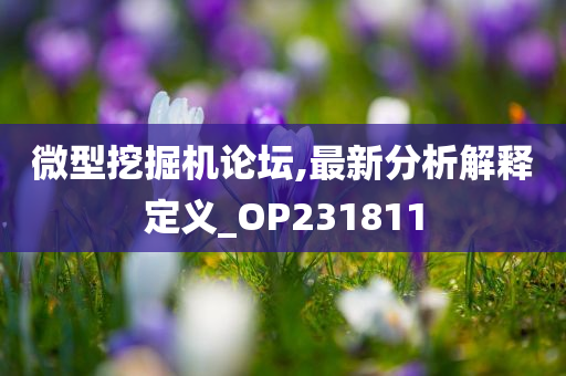 微型挖掘机论坛,最新分析解释定义_OP231811