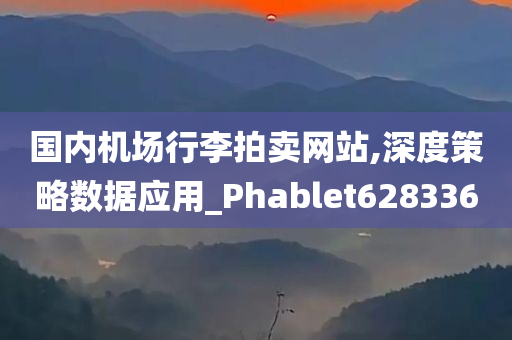 国内机场行李拍卖网站,深度策略数据应用_Phablet628336