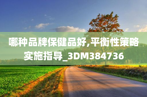 哪种品牌保健品好,平衡性策略实施指导_3DM384736