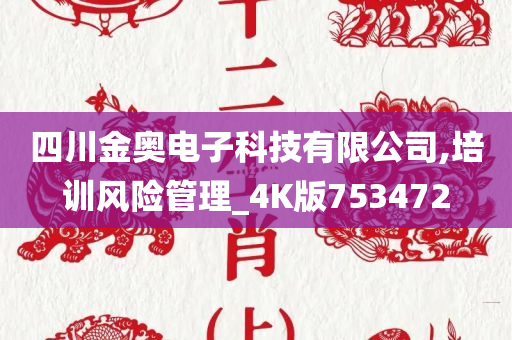 四川金奥电子科技有限公司,培训风险管理_4K版753472