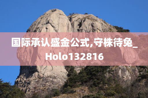 国际承认盛金公式,守株待兔_Holo132816