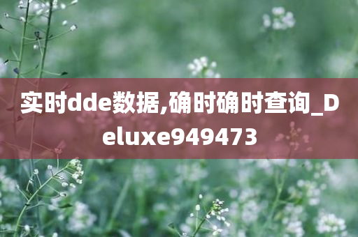 实时dde数据,确时确时查询_Deluxe949473