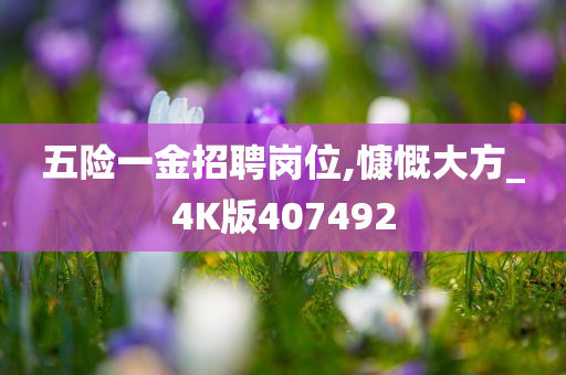 五险一金招聘岗位,慷慨大方_4K版407492