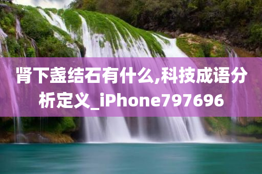 肾下盏结石有什么,科技成语分析定义_iPhone797696