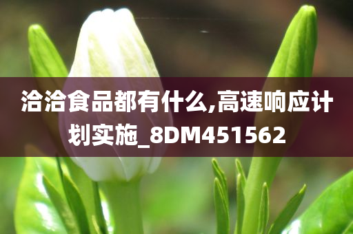 洽洽食品都有什么,高速响应计划实施_8DM451562