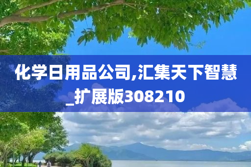 化学日用品公司,汇集天下智慧_扩展版308210