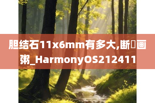 胆结石11x6mm有多大,断虀画粥_HarmonyOS212411