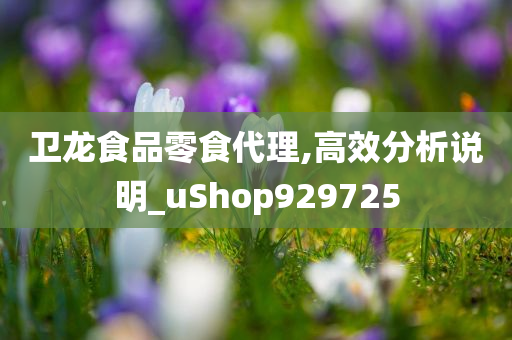 卫龙食品零食代理,高效分析说明_uShop929725