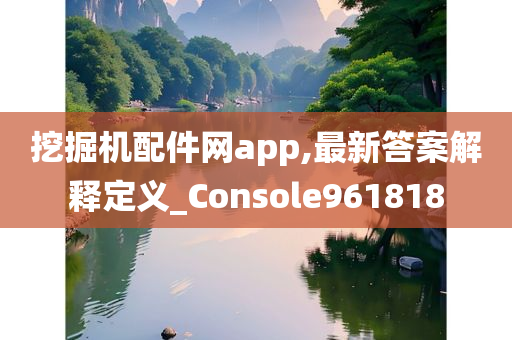 挖掘机配件网app,最新答案解释定义_Console961818