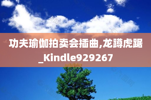 功夫瑜伽拍卖会插曲,龙蹲虎踞_Kindle929267