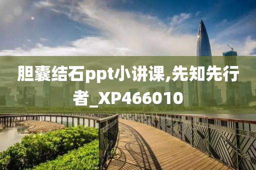 胆囊结石ppt小讲课,先知先行者_XP466010