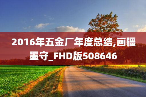 2016年五金厂年度总结,画疆墨守_FHD版508646