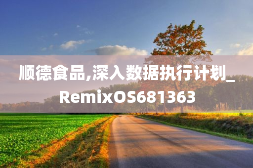 顺德食品,深入数据执行计划_RemixOS681363