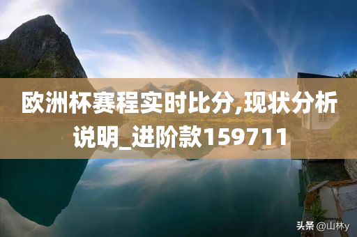 欧洲杯赛程实时比分,现状分析说明_进阶款159711