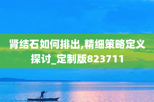 肾结石如何排出,精细策略定义探讨_定制版823711