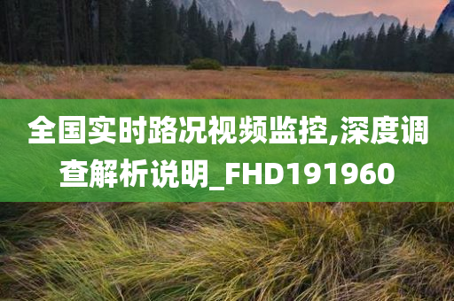 全国实时路况视频监控,深度调查解析说明_FHD191960